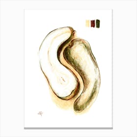 Pear Fruit Illustration Canvas Print