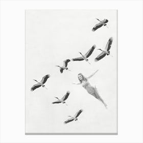 Flight Canvas Print