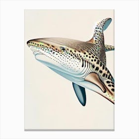 Leopard Shark 3 Vintage Canvas Print