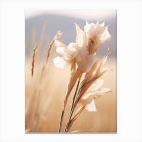 Boho Dried Flowers Gladiolus 1 Canvas Print