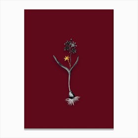 Vintage Alpine Squill Black and White Gold Leaf Floral Art on Burgundy Red n.0286 Canvas Print