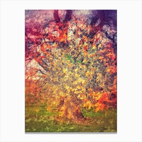 Img 3911 Abstract Multicolour Treescape #2 Canvas Print