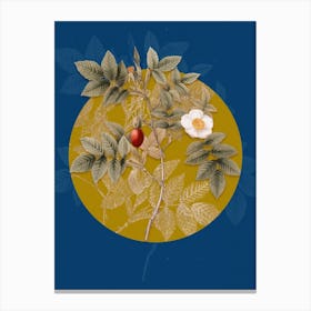 Vintage Botanical Mountain Rose Bloom on Circle Yellow on Blue n.0126 Canvas Print