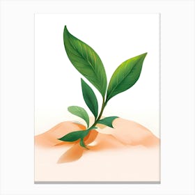 Vector Illustration Of A Green Leaf Canvas Print