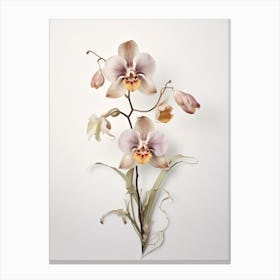 Pressed Flower Botanical Art Monkey Orchid Canvas Print