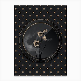 Shadowy Vintage Painted Lady Botanical in Black and Gold 1 Canvas Print