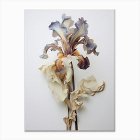 Pressed Flower Botanical Art Iris 3 Canvas Print