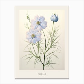 Floral Illustration Love In A Mist Nigella 1 Poster Canvas Print