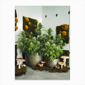 Potted Plants And Mushrooms Canvas Print