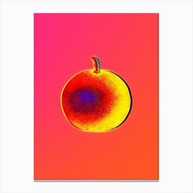 Neon Adam's Apple Botanical in Hot Pink and Electric Blue n.0496 Canvas Print
