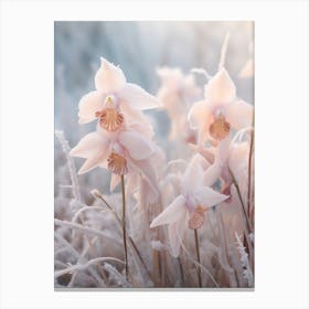 Frosty Botanical Orchid 2 Canvas Print