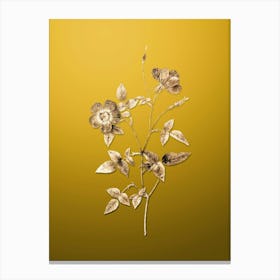 Gold Botanical Indica Stelligera Rose on Mango Yellow n.3976 Canvas Print