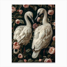 Two Swans Canvas Print