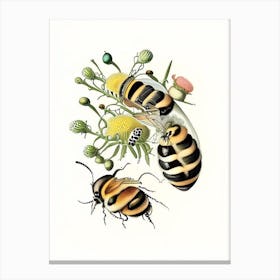 Larva Bees 2 Vintage Canvas Print