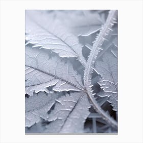 Frosty Leaves 3 Canvas Print