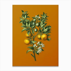 Vintage Bitter Orange Botanical on Sunset Orange n.0257 Canvas Print