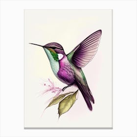 Black Chinned Hummingbird Retro Drawing Canvas Print