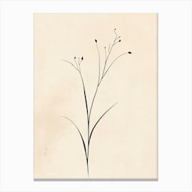 Kanji Flower Canvas Print