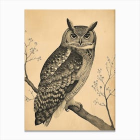 Burmese Fish Owl Vintage Illustration 3 Canvas Print