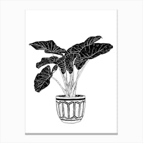 Plantpot Canvas Print