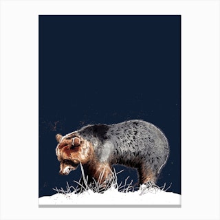 The Bear On Midnight Blue Canvas Print