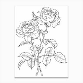 Roses Sketch 62 Canvas Print