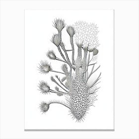 Rhipsalis Cactus William Morris Inspired 1 Canvas Print