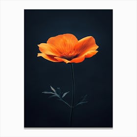 Orange Poppy Flower Canvas Print