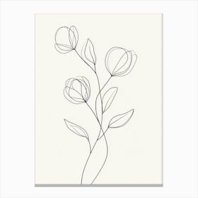 Line Drawing Of Flowers Canvas Print