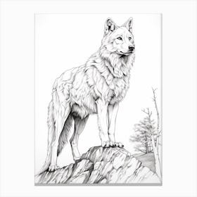 Arctic Wolf Line Drawing 1 Canvas Print