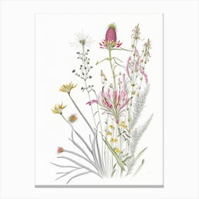 Queen Of The Prairie Floral Quentin Blake Inspired Illustration 1 Flower Canvas Print