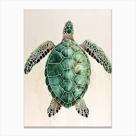 Sea Turtle Aqua Vintage Painting 3 Canvas Print