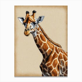 Giraffe 14 Canvas Print