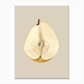 Pear By Person Canvas Print