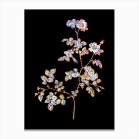 Stained Glass White Sweetbriar Rose Mosaic Botanical Illustration on Black n.0136 Canvas Print