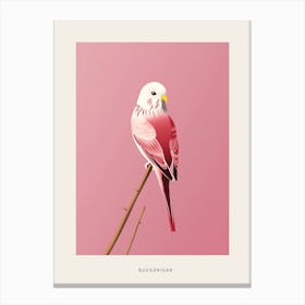 Minimalist Budgerigar 3 Bird Poster Canvas Print