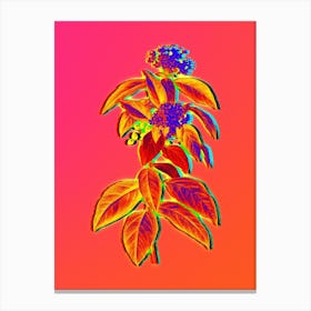 Neon Laurustinus Botanical in Hot Pink and Electric Blue n.0603 Canvas Print