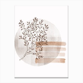 Olive Branch Canvas Print