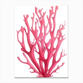 Coral Reef 4 Canvas Print