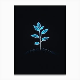 Plant Growing On A Black Background 1 Canvas Print