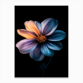 Dahlia Flower 2 Canvas Print