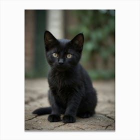 Black Kitten 1 Canvas Print