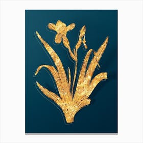 Vintage Hungarian Iris Botanical in Gold on Teal Blue n.0048 Canvas Print
