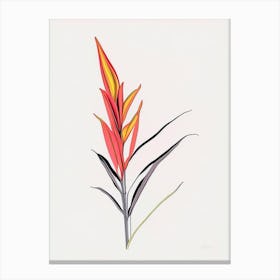 Heliconia Floral Minimal Line Drawing 4 Flower Canvas Print