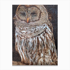 Barred Owl Canvas Print