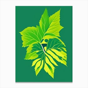 Lemon Balm Leaf Vibrant Inspired 1 Canvas Print