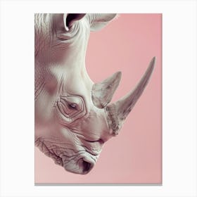 Rhino 1 Canvas Print