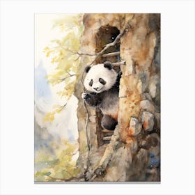 Panda Art Rock Climbing Watercolour 4 Canvas Print
