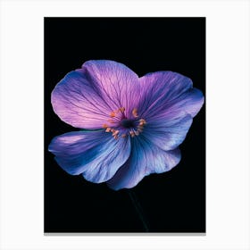 Purple Flower Canvas Print