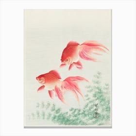 Two Veil Goldfish, Ohara Koson Vintage Japanese Canvas Print